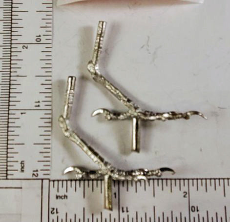 Bird Feet with Legs EVENING GROSEBECK