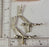 Bird Feet with Legs EVENING GROSEBECK