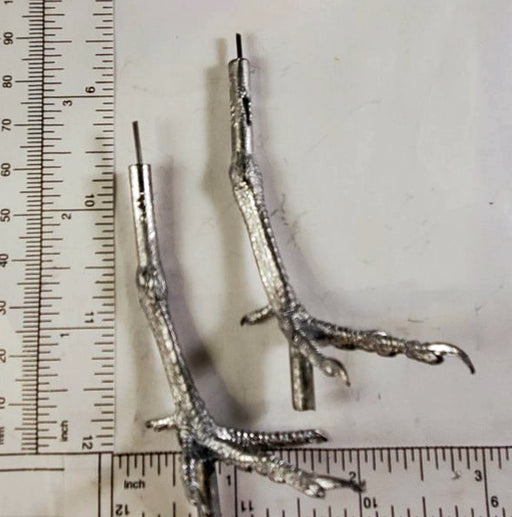 Bird Feet with Legs GAMBEL QUAIL