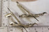 Bird Feet with Legs WHITE WINGED DOVE