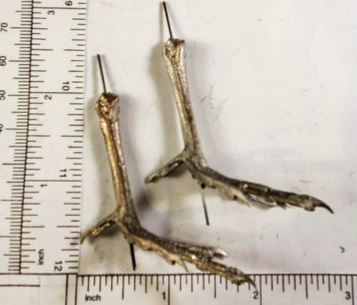 Bird Feet with Legs DOVE