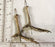 Bird Feet with Legs DOVE