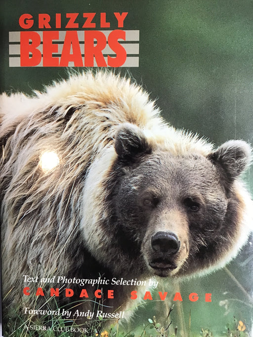 Grizzly Bears- Savage
