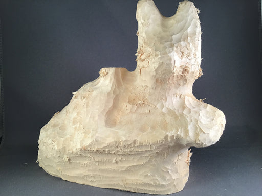 Bobcat Laying Roughout- Basswood-Debbe Edwards