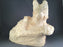 Bobcat Laying Roughout- Basswood-Debbe Edwards