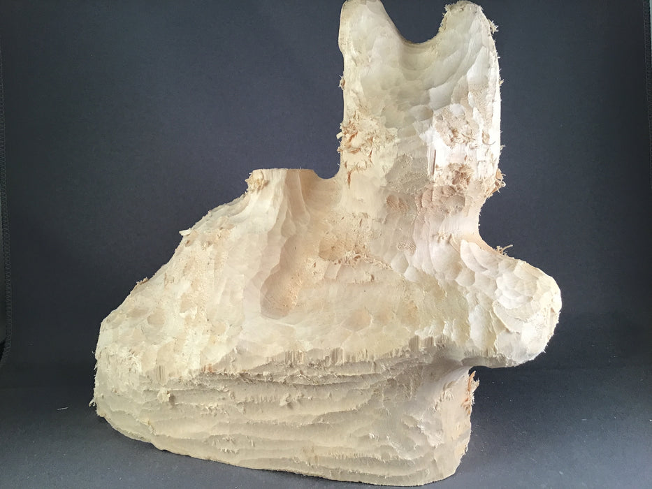 Bobcat Laying Roughout- Basswood-Debbe Edwards