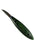 Silvern 2" Roughout Knife-OVAL Green