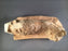 Bobcat Walking Roughout- Basswood-Debbe Edwards
