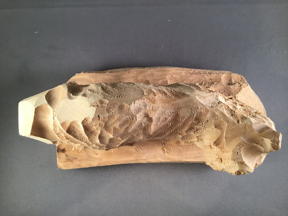 Bobcat Walking Roughout- Basswood-Debbe Edwards