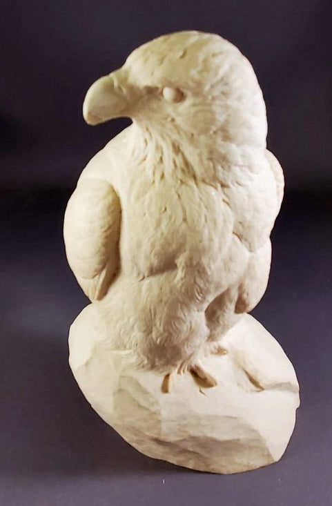 Study Cast EAGLE
