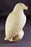 Study Cast EAGLE