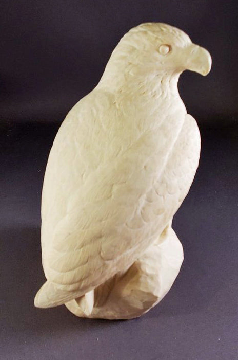 Study Cast EAGLE