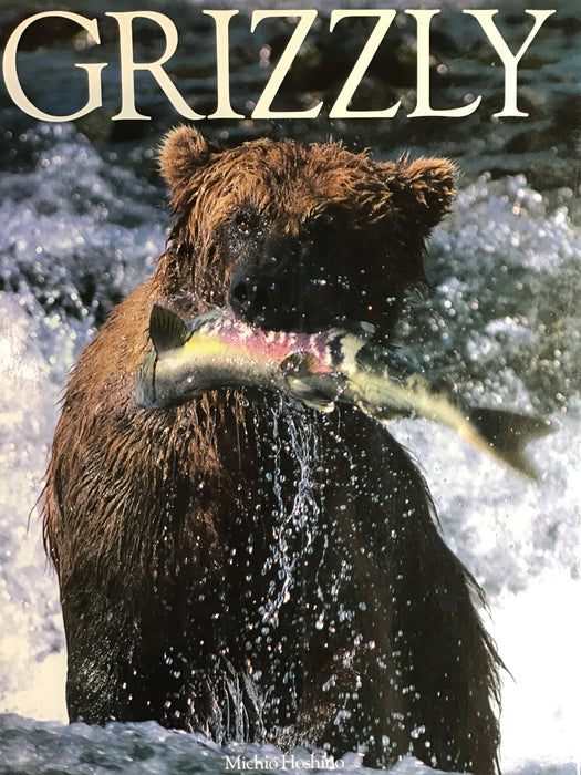 Grizzly - Hoshiro