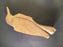ROUGHOUT-PRESTARTED WOODPECKER - Basswood