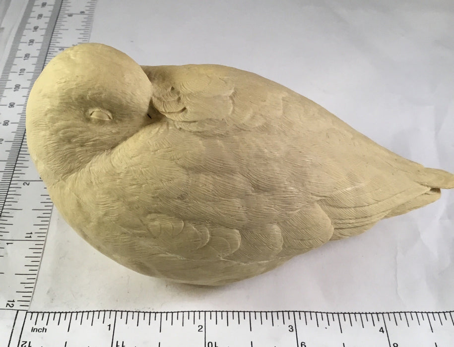 Study Cast - Shorebird