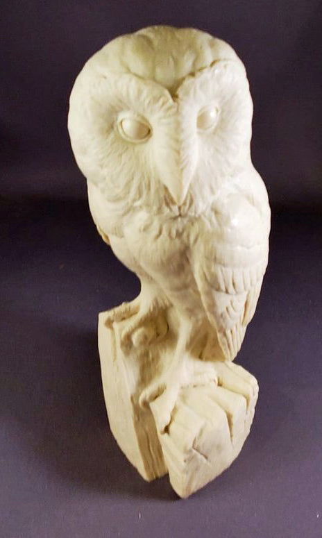 Study Cast OWL