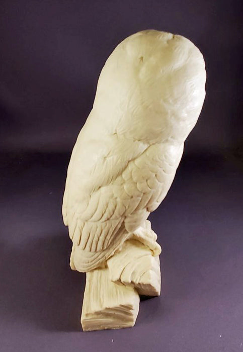 Study Cast OWL