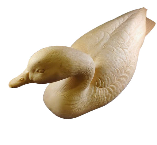 Study Cast - Canada Goose 3/4 size