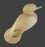 Study Cast Merganser