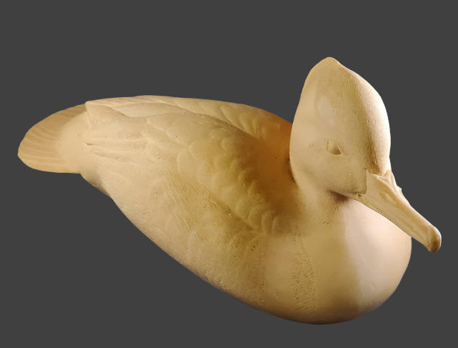 Study Cast Merganser