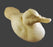 Study Cast Ruddy Duck