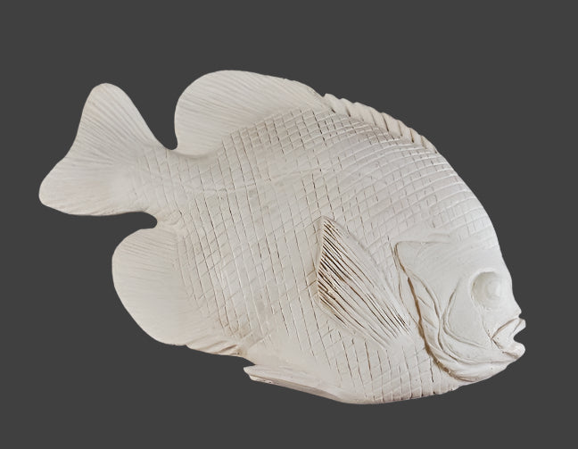 Study Cast Fish