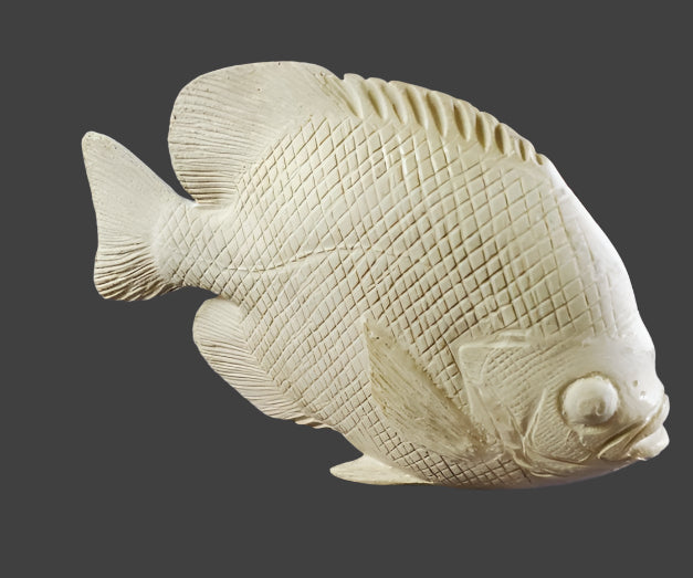 Study Cast Fish
