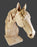 Study Cast Debbe Edwards Horse Head