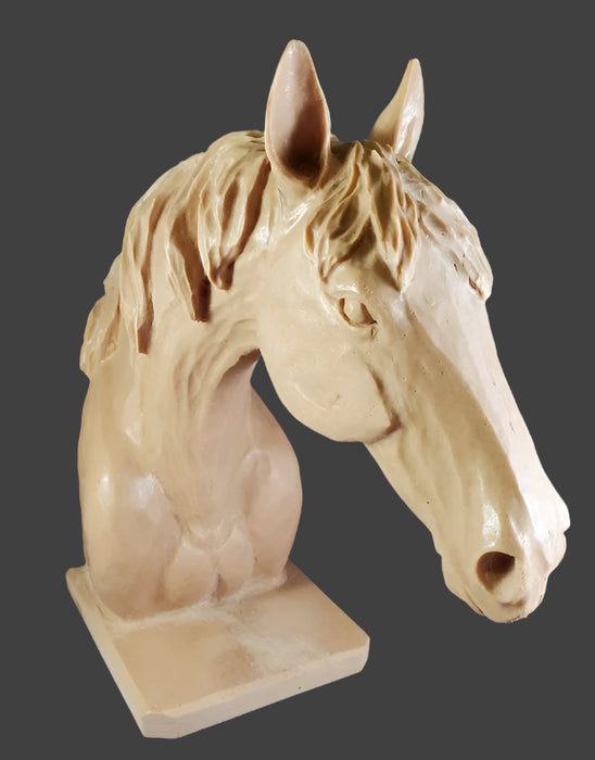 Study Cast Debbe Edwards Horse Head