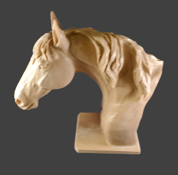 Study Cast Debbe Edwards Horse Head