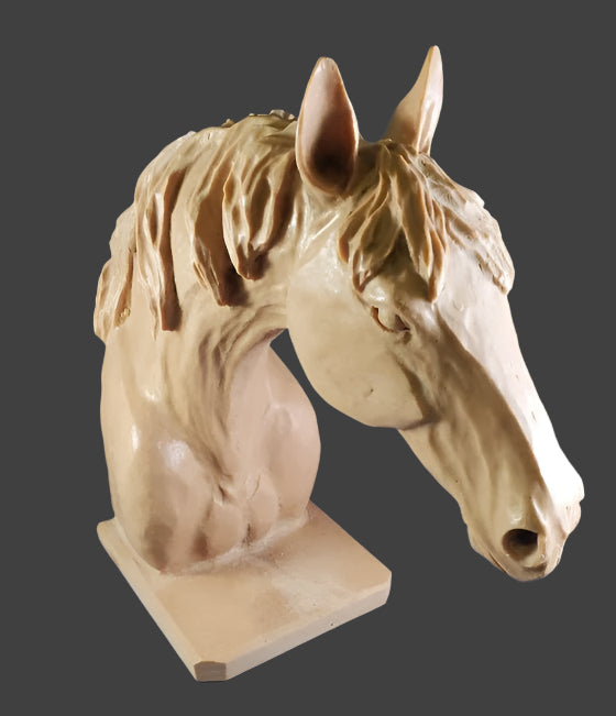 Study Cast Debbe Edwards Horse Head