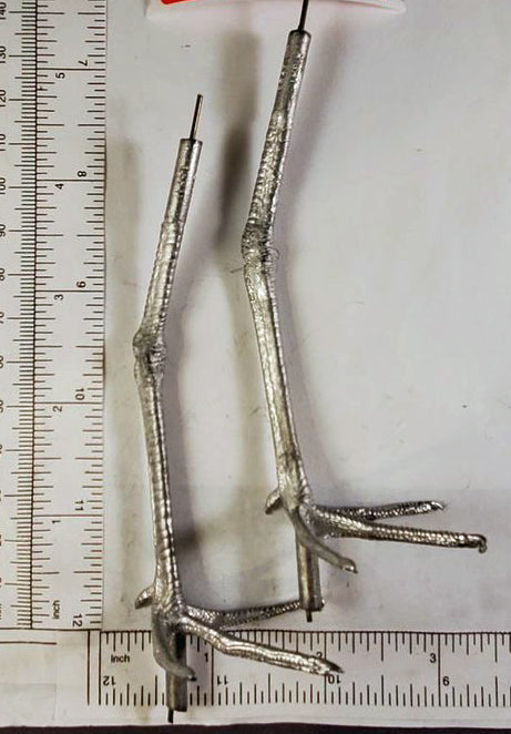 Bird Feet with LESSER YELLOWLEGS