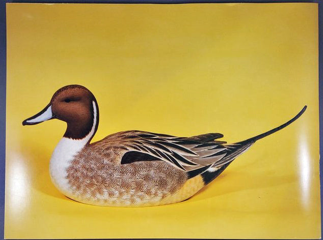 PinTail Duck Tupelo Kit
